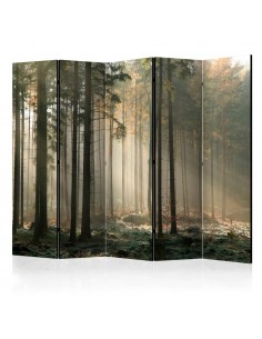 PARAVENT BRUME EN FORET / 3 - 5 2