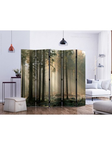 PARAVENT BRUME EN FORET / 3 - 5