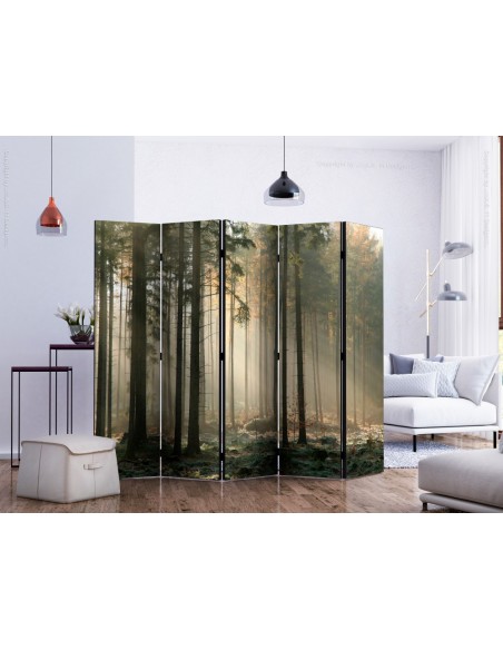 PARAVENT BRUME EN FORET / 3 - 5