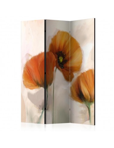 PARAVENT COQUELICOT VINTAGE / 3 - 5