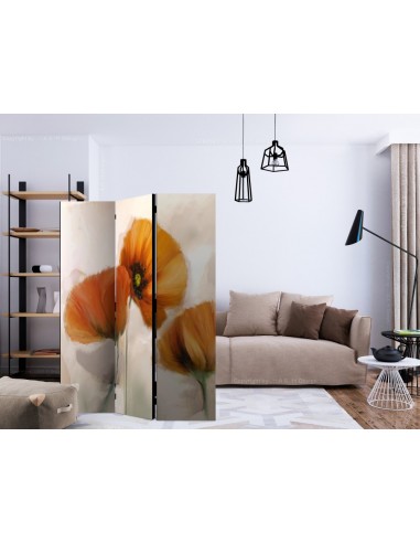PARAVENT COQUELICOT VINTAGE / 3 - 5
