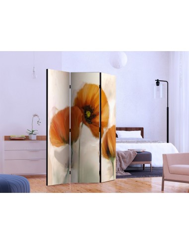 PARAVENT COQUELICOT VINTAGE / 3 - 5