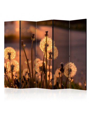 PARAVENT FLEUR DE PISSENLIT / 5