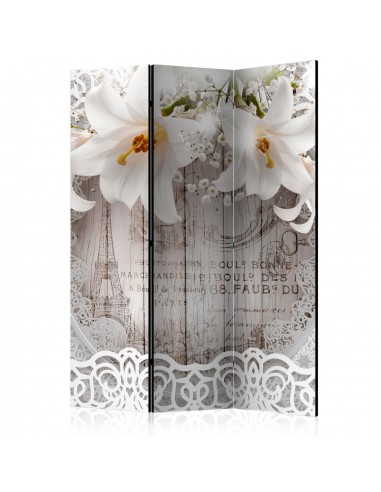PARAVENT FLEURS ET PARIS / 3 - 5