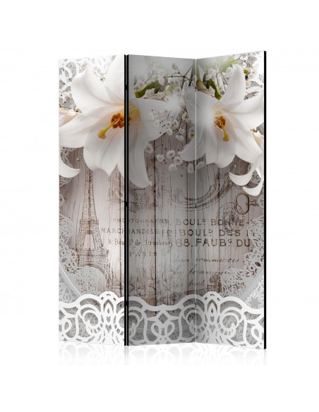 PARAVENT FLEURS ET PARIS / 3 - 5