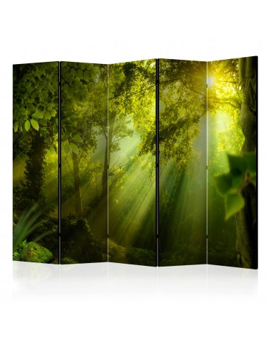 PARAVENT SECRET DE FORÊT 3 - 5