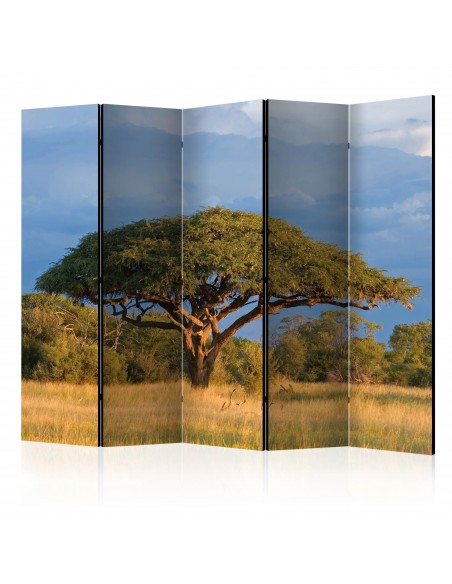 PARAVENT ACACIA - 5