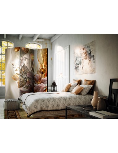 paravent evanescence 3