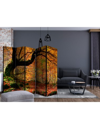 Autumn, forest and leaves 5 volets