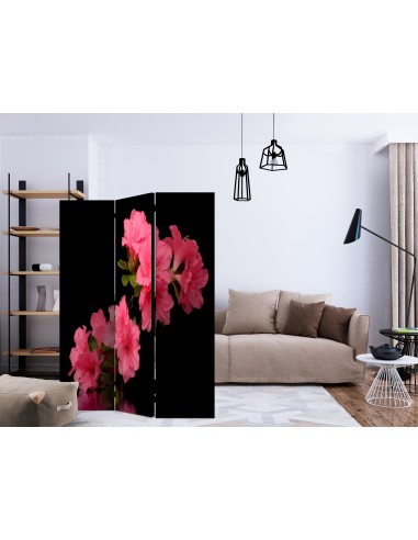 Azalea in Black 3 volets