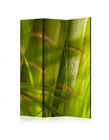 bamboo - nature zen 3 volets