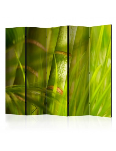 bamboo - nature zen 5 volets