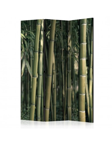 Bamboo Exotic 3 volets