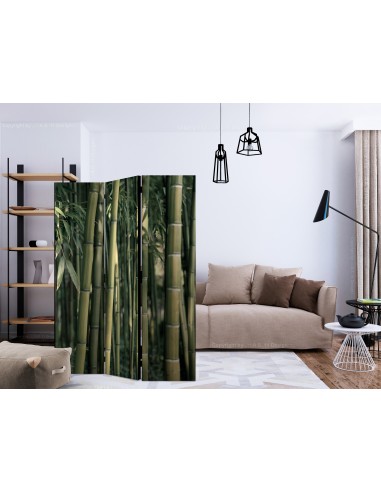 Bamboo Exotic 3 volets