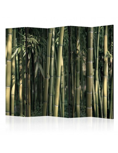 Bamboo Exotic 5 volets