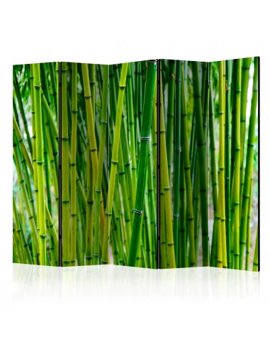 Bamboo Forest 5 volets