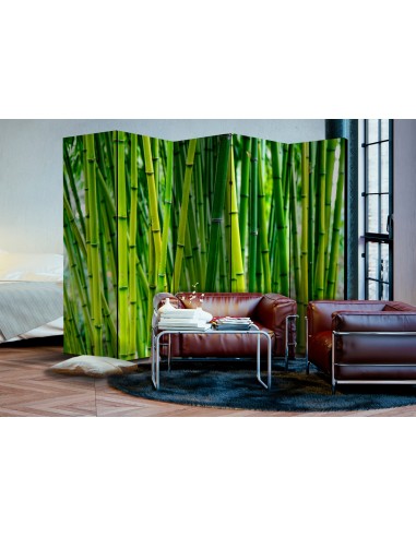 Bamboo Forest 5 volets