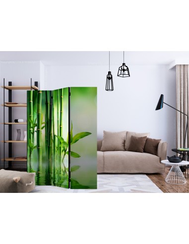 Bamboo Grove 3 volets