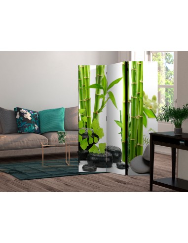 Bamboos and Stones 3 volets
