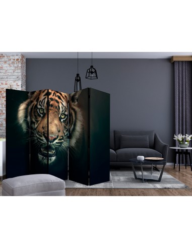 Bengal Tiger 5 volets