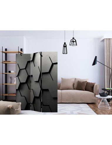 Black Gate 3 volets
