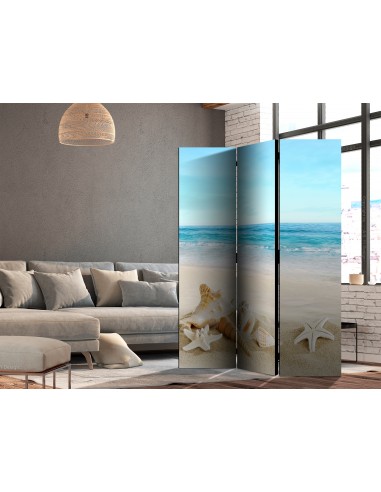 Blue Calm 3 volets