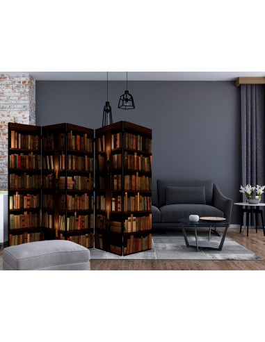 Bookshelves 5 volets