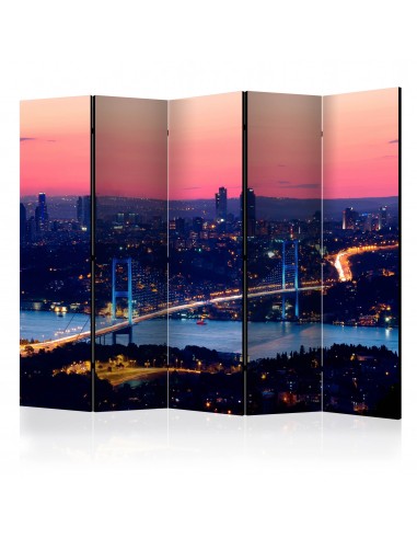 Bosphorus Bridge 5 volets