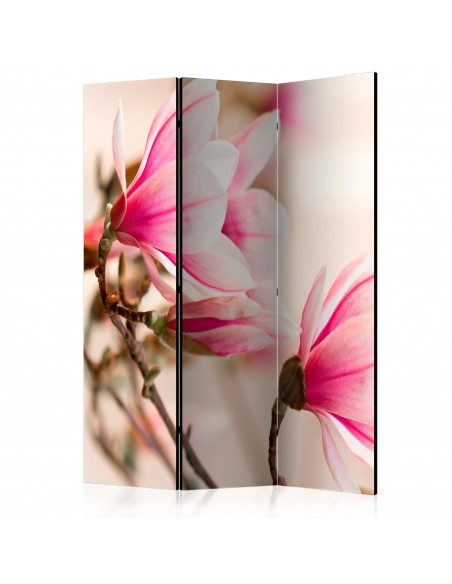 Branch of magnolia tree 3 volets