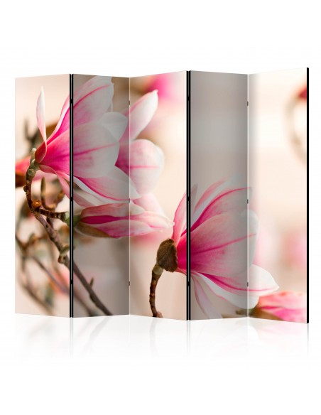 Branch of magnolia tree 5 volets