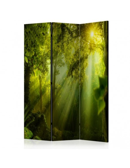 PARAVENT SECRET DE FORÊT 3 - 5