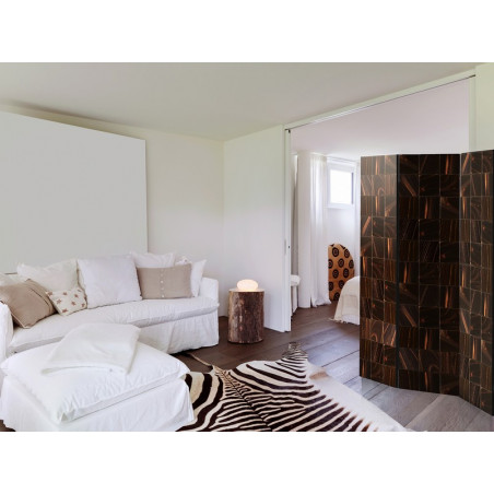 PARAVENT PLASMA 3 - 5