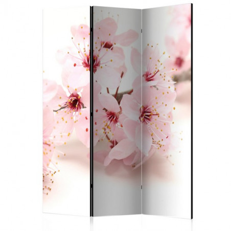 PARAVENT CERISIER EN FLEUR 3 - 5
