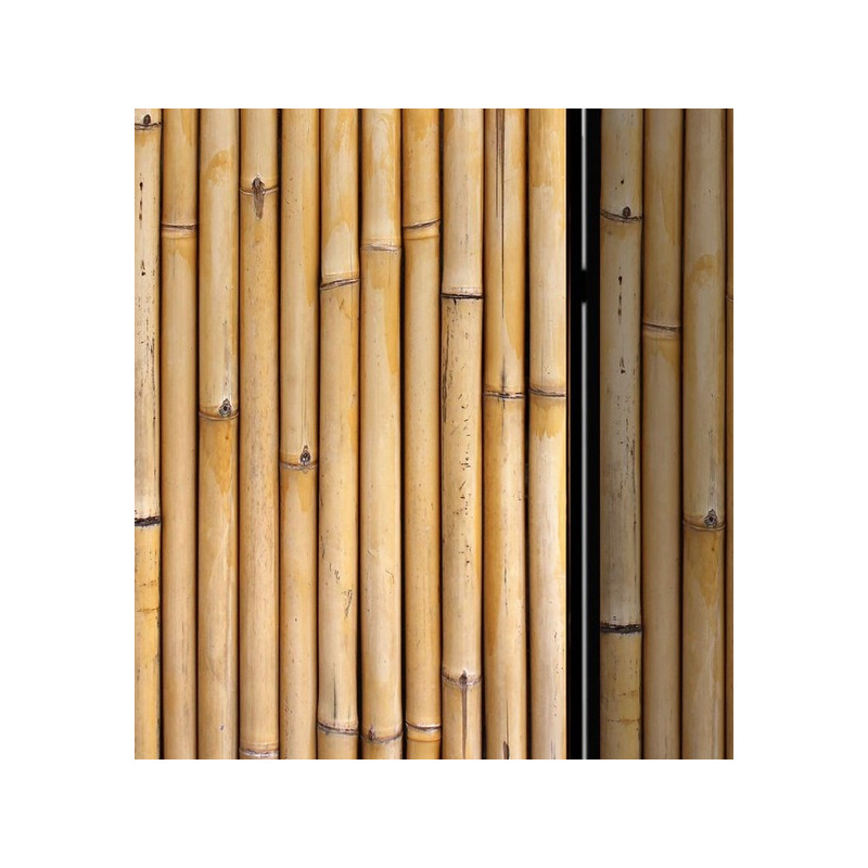 PARAVENT WALL BAMBUS 3 - 5