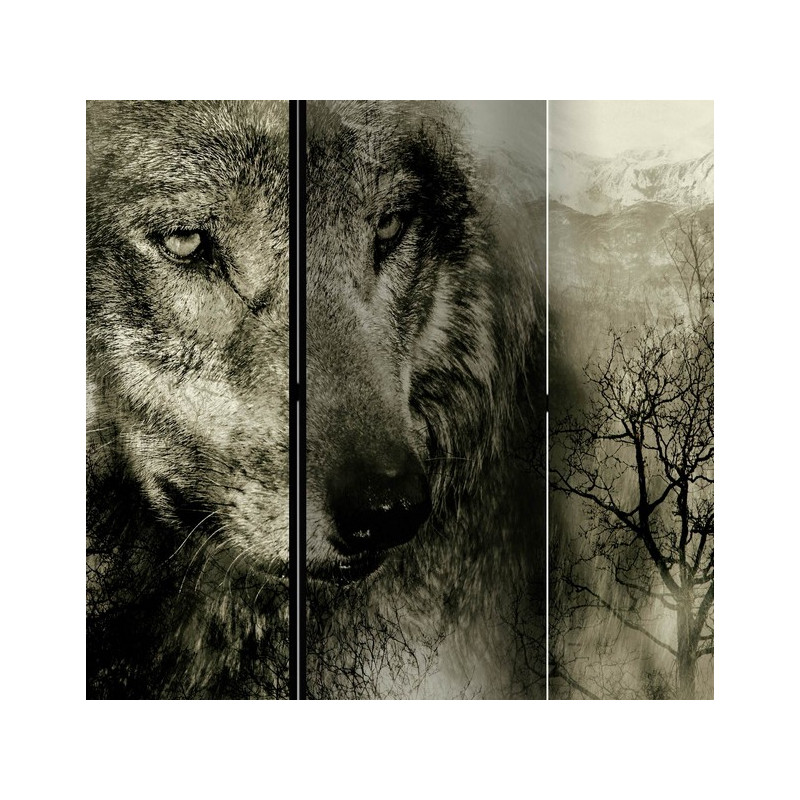 PARAVENT MERCANTOUR 3 - 5