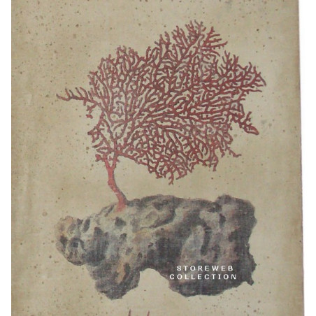 PARAVENT CORAUX - M