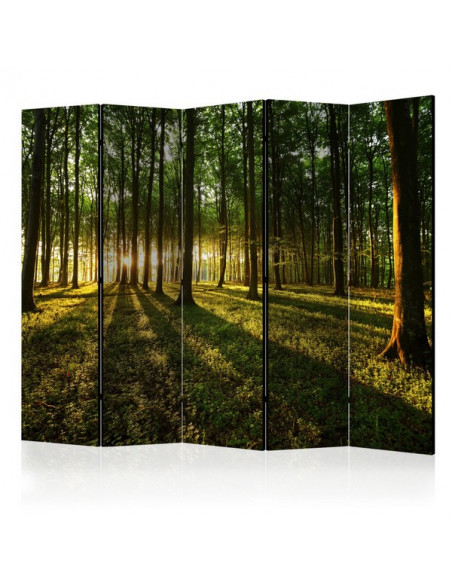 PARAVENT OMBRE ET LUMIERE 3 - 5