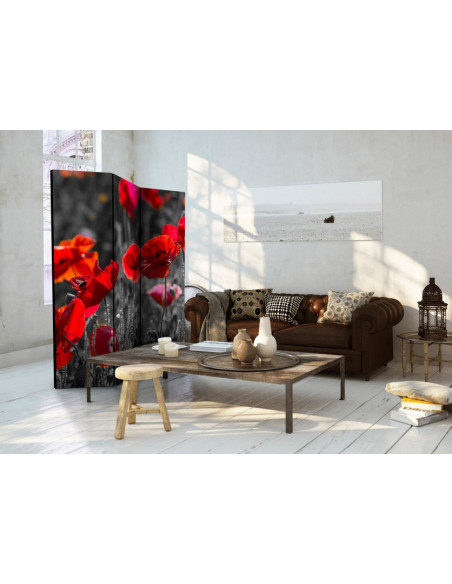 PARAVENT COQUELICOTS 3 - 5