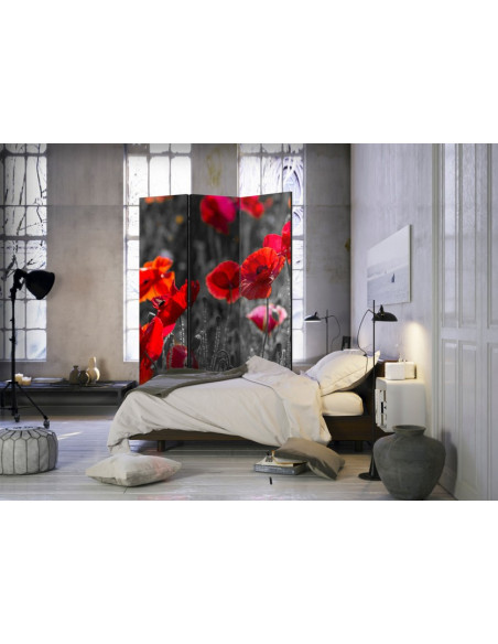 PARAVENT COQUELICOTS 3 - 5