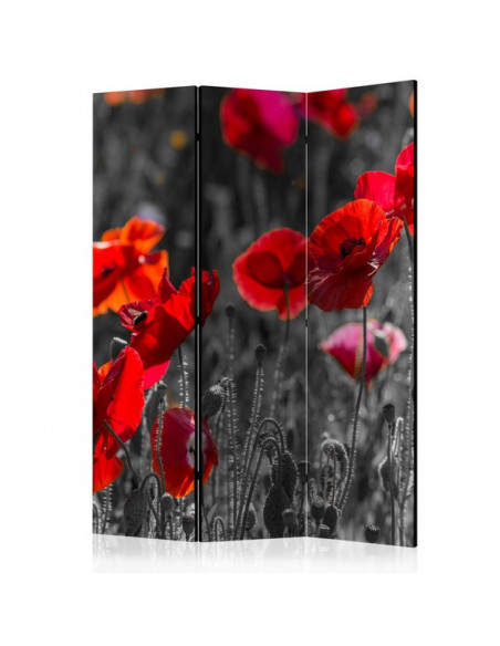 PARAVENT COQUELICOTS 3 - 5