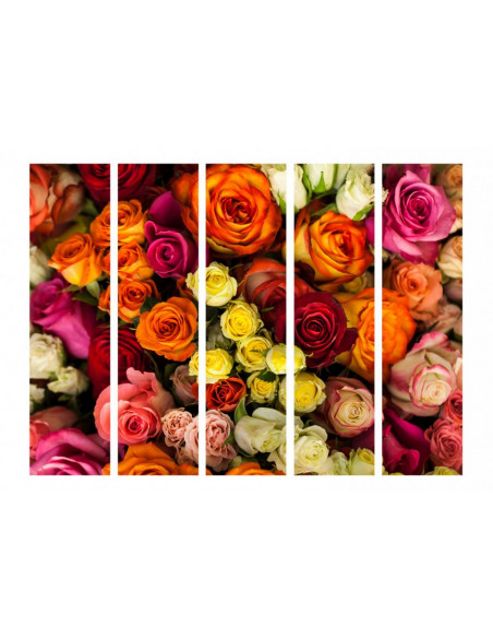 PARAVENT BOUTON DE ROSE 5