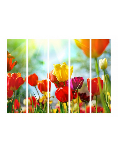 PARAVENT CHAMP DE TULIPES 5