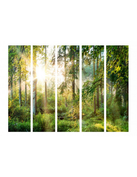 PARAVENT RAYON DE SOLEIL  5
