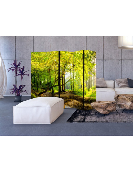 PARAVENT FORET HUMIDE 3 - 5