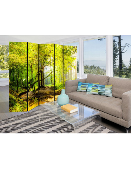 PARAVENT FORET HUMIDE 3 - 5