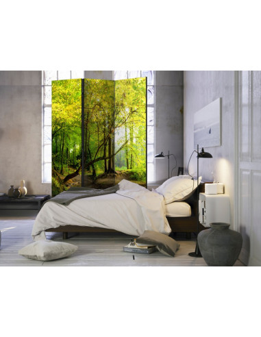 PARAVENT FORET HUMIDE 3 - 5