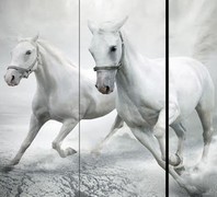 paravent-chevaux-blancs-182.jpg