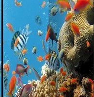 paravent-ocean-200-4.jpg