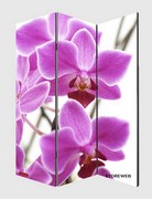 15-Decoral-180-1.jpg