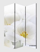 15-Decoral-180-2.jpg